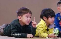 杜宇麒视频,揭秘生活点滴中的智慧与感悟