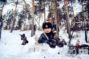 捕俘训练视频,从视频中学到的关键要点