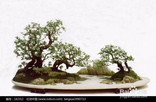 山水盆景制作视频,一盆一世界，匠心独运的艺术之旅