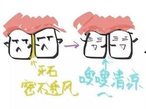 清牙结石视频,清牙秘籍大公开