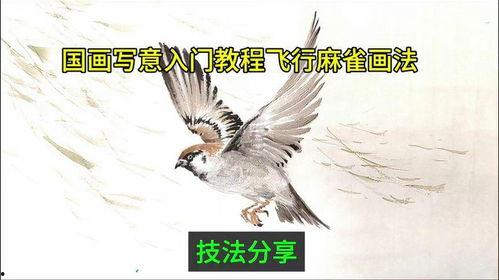 国画麻雀的画法视频,跟随视频学习传统花鸟画法