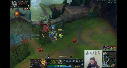 东北采蘑菇视频,跟随镜头探寻蘑菇王国