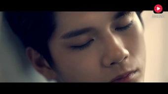 傻子牧视频,一场别开生面的网络视频盛宴