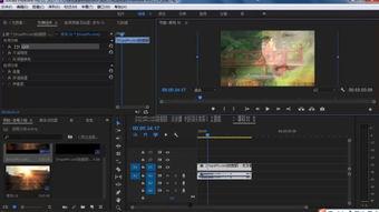 242cc在线视频,热门内容背后的故事与影响