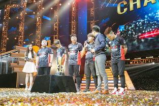 cfs10决赛视频,巅峰对决，谁将问鼎荣耀？