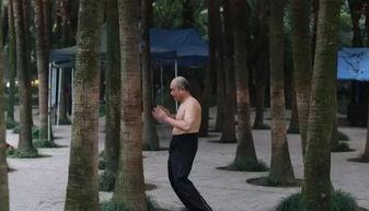 撞树健身视频,撞树健身法揭秘