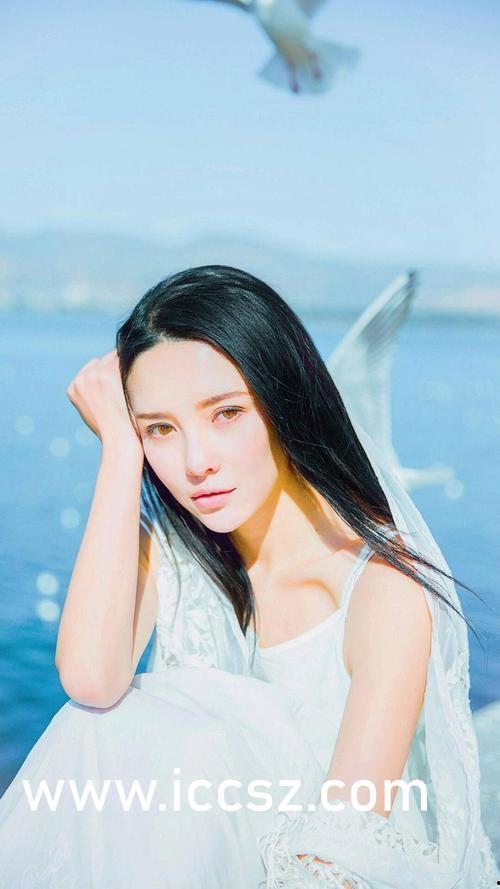 连欣视频完整播放,深度解析，精彩瞬间不容错过