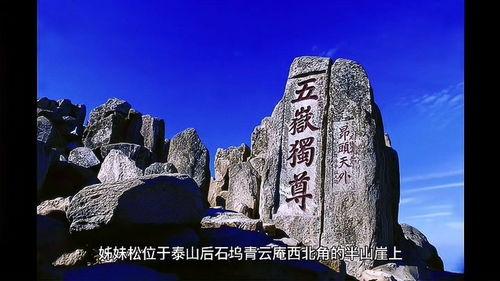 泰山实时视频,泰山实时美景尽收眼底