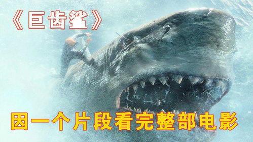 巨齿鲨电影视频,深海霸主惊悚回归
