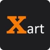 xart在线视频,视觉艺术的新境界