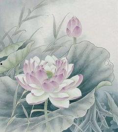 工笔画入门视频