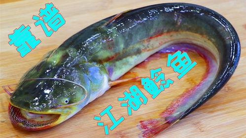 麻辣鲶鱼的做法视频,家常美味，一学就会的烹饪教程