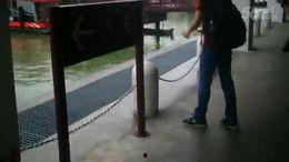 黄色毛视频,背后真相与警示