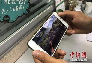 7本打钱视频,揭秘网络金融背后的精彩故事