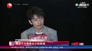 陈晓采访视频,揭秘明星背后的故事与心路历程
