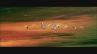 鸿雁视频歌曲