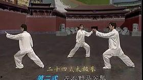 太极拳自学教程视频,入门到精通的实战指南